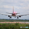 丘珠の空　FDA14号機　ワインレッド