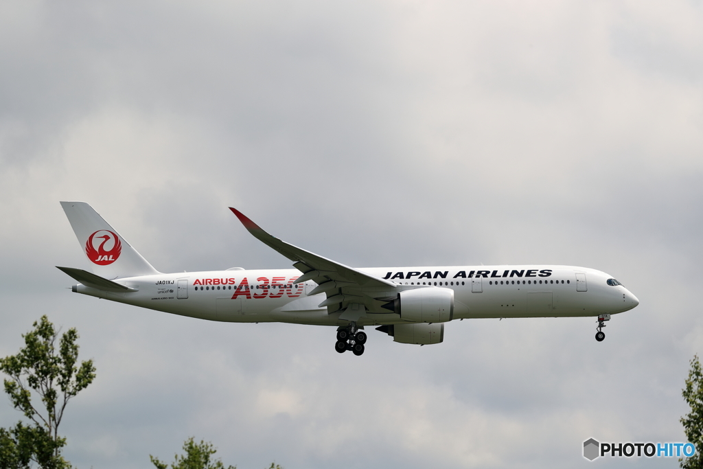 JAL A350 慣熟飛行　その１