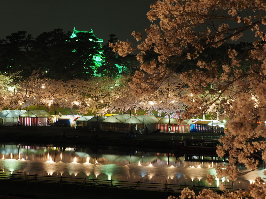 岡崎城　夜桜