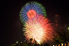 夏花