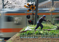 春耕す