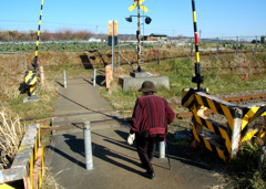 散歩道