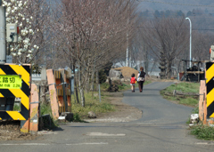 春めく道