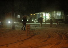 初雪