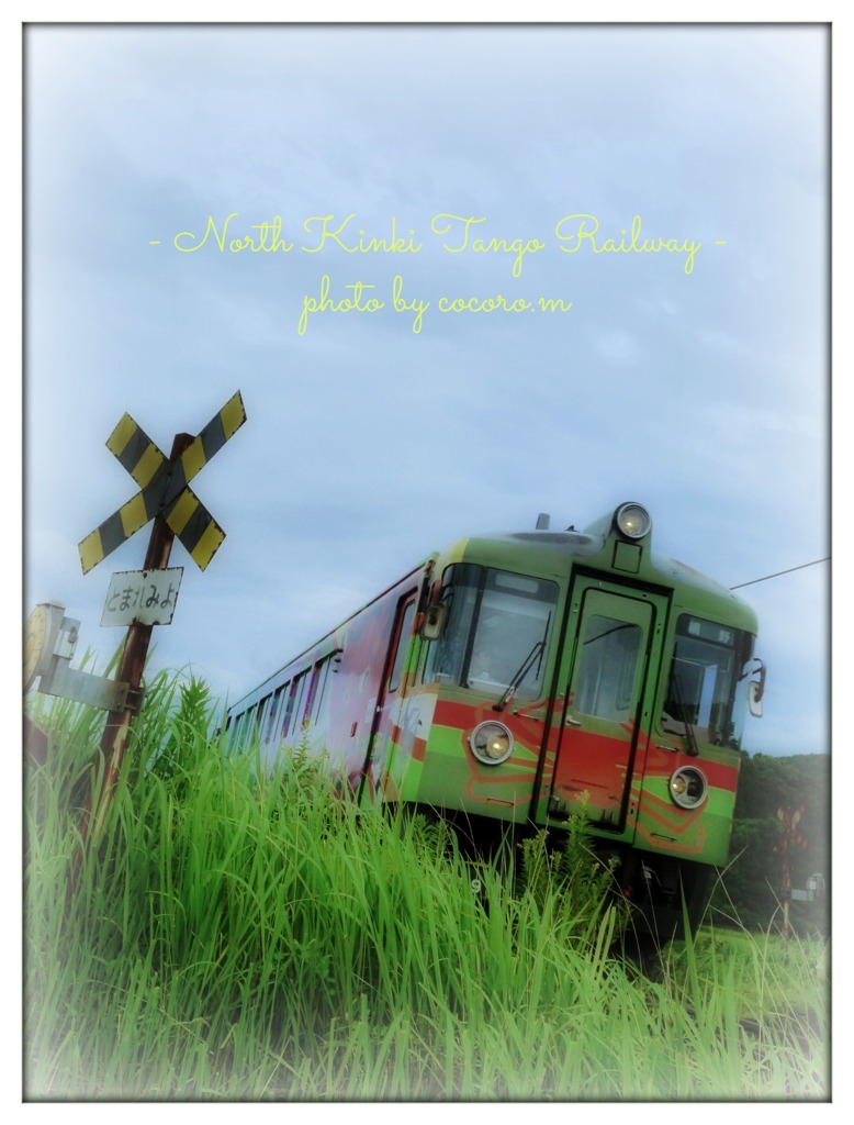 カニっ電車～～♪ヽ(´▽｀)/