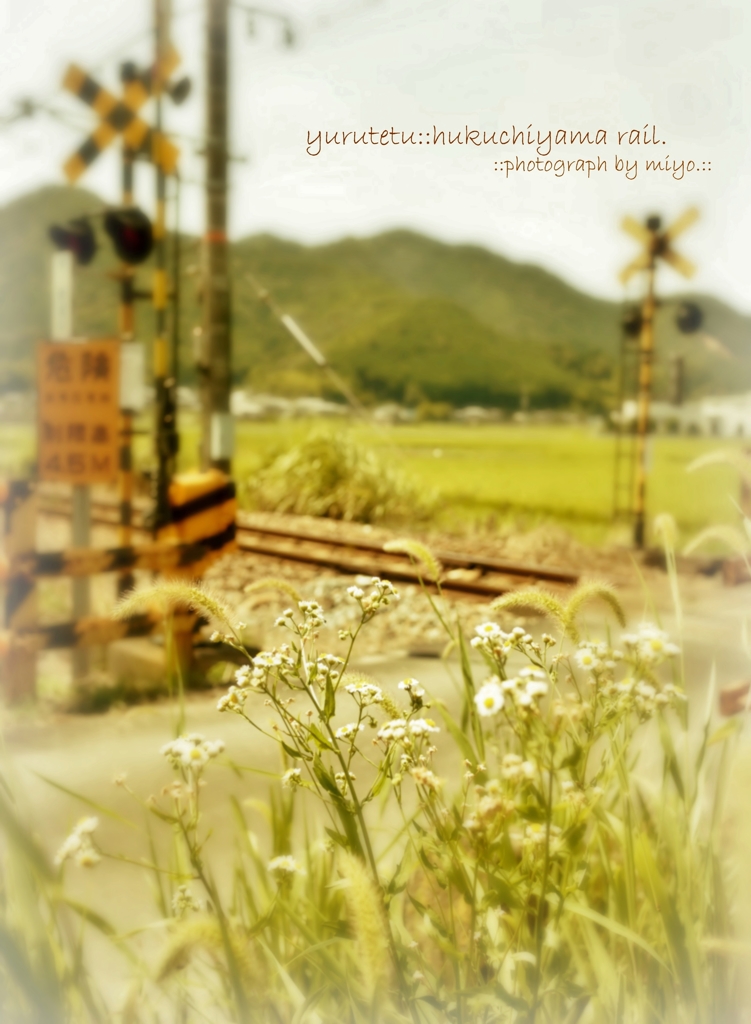 -cocoro・・・旅に出る-
