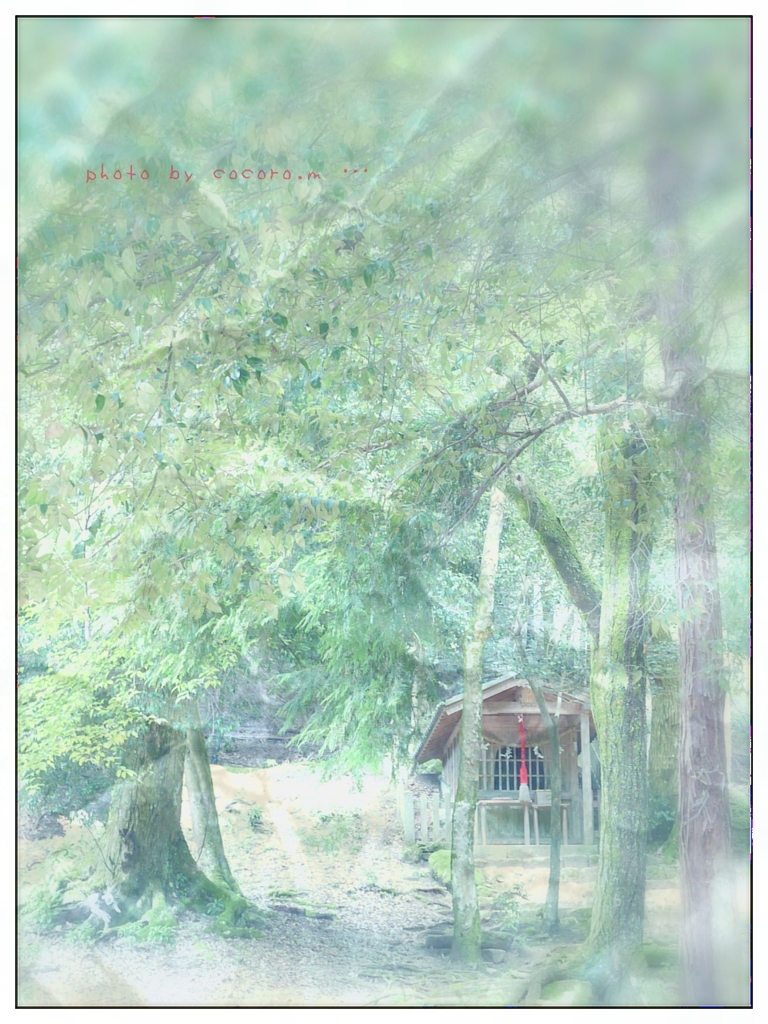 ｰ写真ｰ 10月のおもひで
