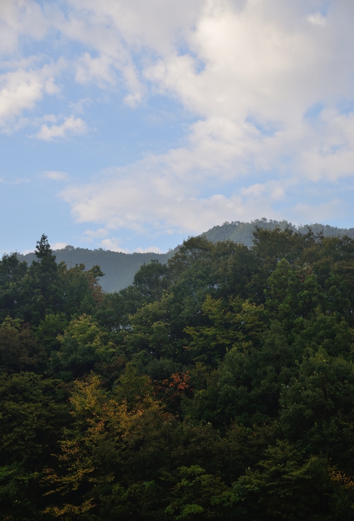 finding autumn