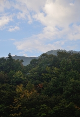 finding autumn