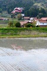 こいのぼりのある風景