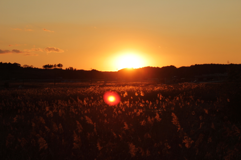 夕日