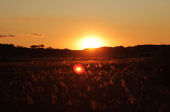 夕日
