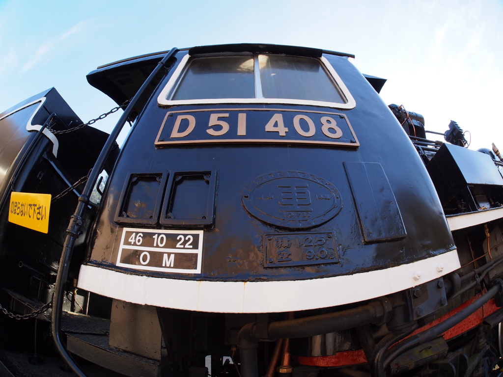 D51