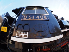 D51