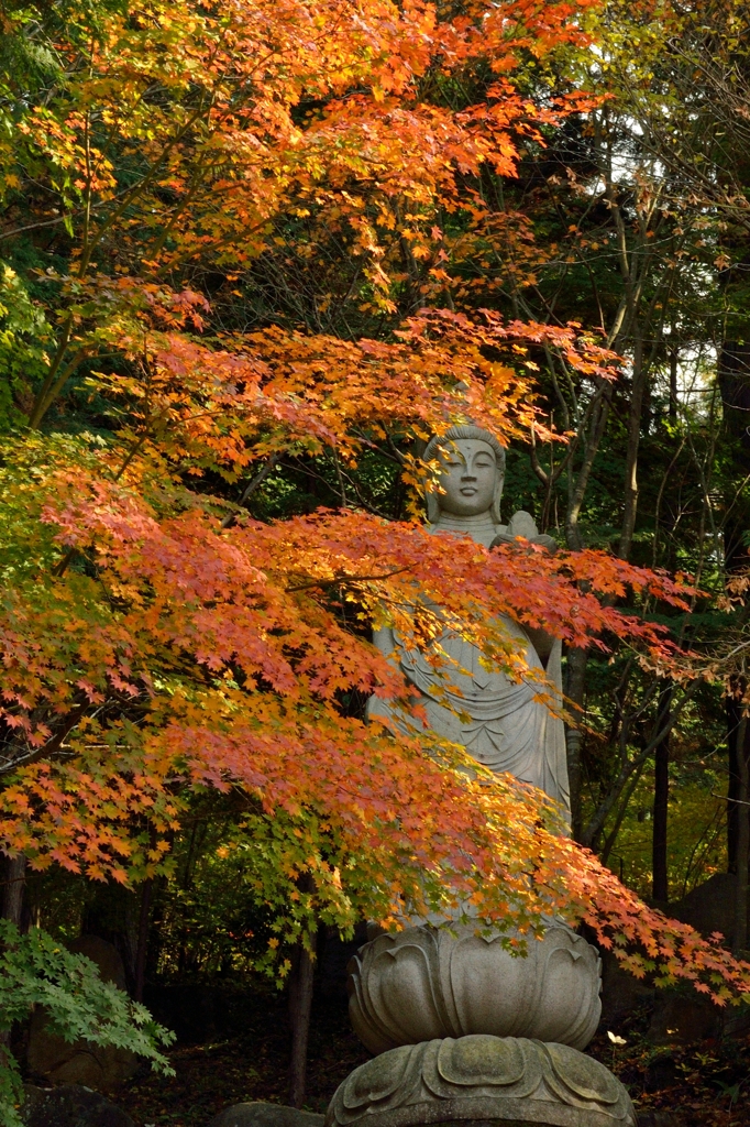 ほとけばら遊園③