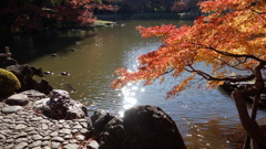 のんびりした秋の風景