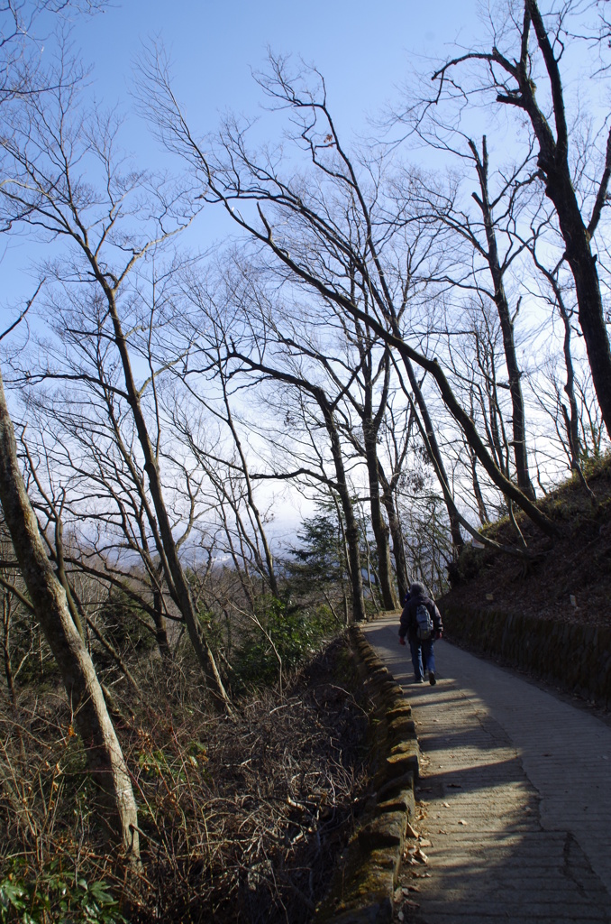 冬の高尾山