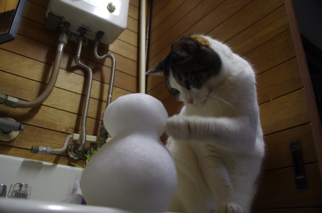 にゃんだチミは？