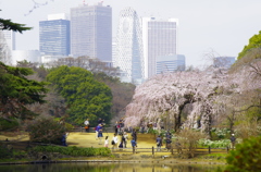 増えてきた都心の風景