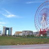 芝が生え揃うまで