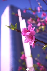 3/31