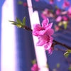 3/31