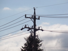 RIMG0223