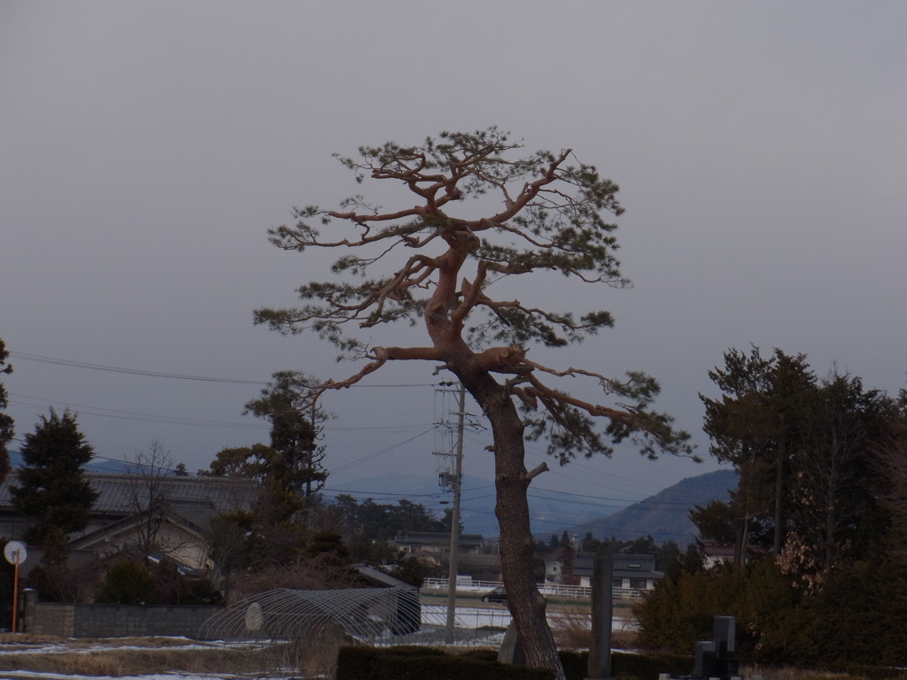曇り空