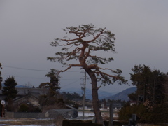 曇り空