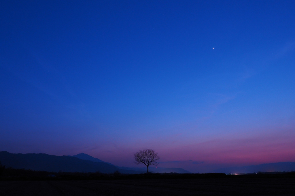 いちばん星