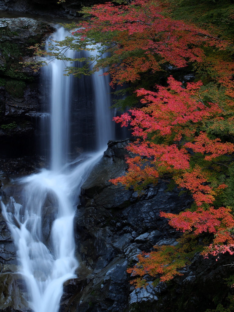 大轟の滝（三段右瀑）