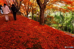 もみじ湖_4_20251112