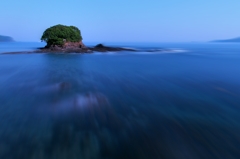 in the moonlight