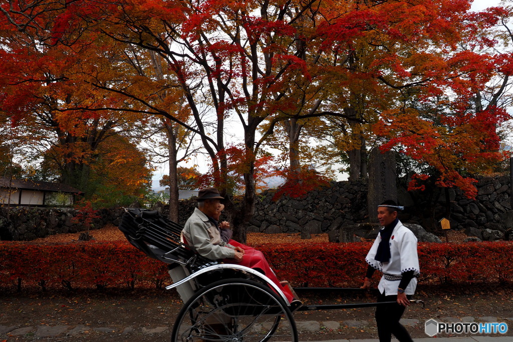 小諸城址 懐古園_1_20251113