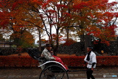 小諸城址 懐古園_1_20251113