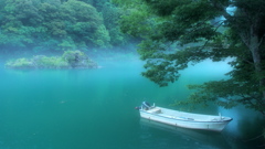 雨霧に霞む