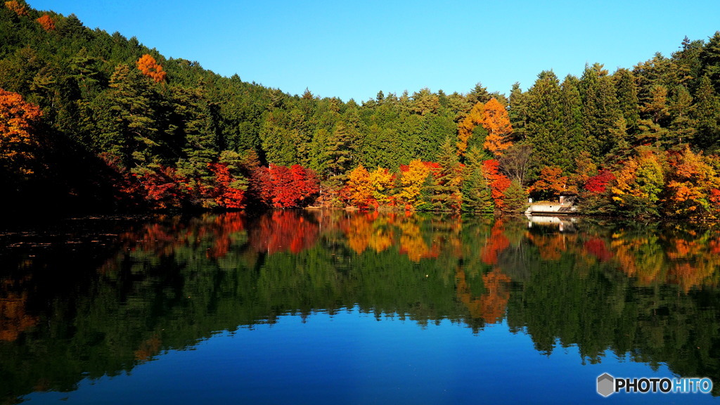 南伊奈ヶ湖_3_20251117