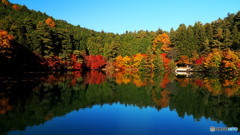 南伊奈ヶ湖_3_20251117