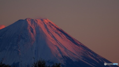 富士山_20231113