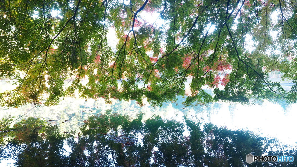 南伊奈ヶ湖_1_20251117