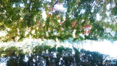 南伊奈ヶ湖_1_20251117