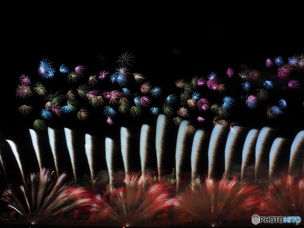 大曲花火_20230826