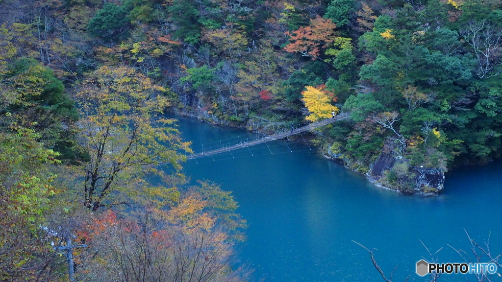 寸又峡 つり橋_20241123
