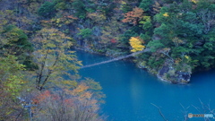 寸又峡 つり橋_20241123