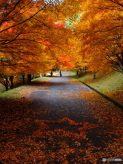 もみじ湖_3_20251112