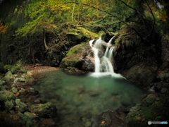 森の中の小さな滝