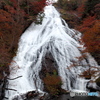 湯滝_20251031
