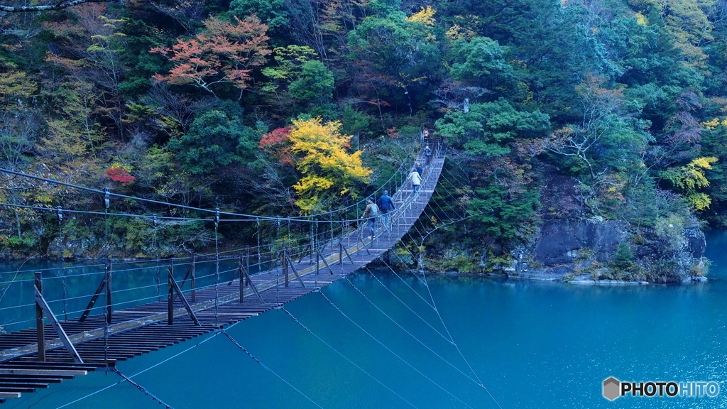 寸又峡 夢のつり橋_20241123