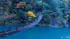 寸又峡 夢のつり橋_20241123