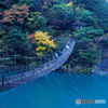 寸又峡 夢のつり橋_20241123